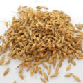 Roasted Malt Powder (real manufacturer)